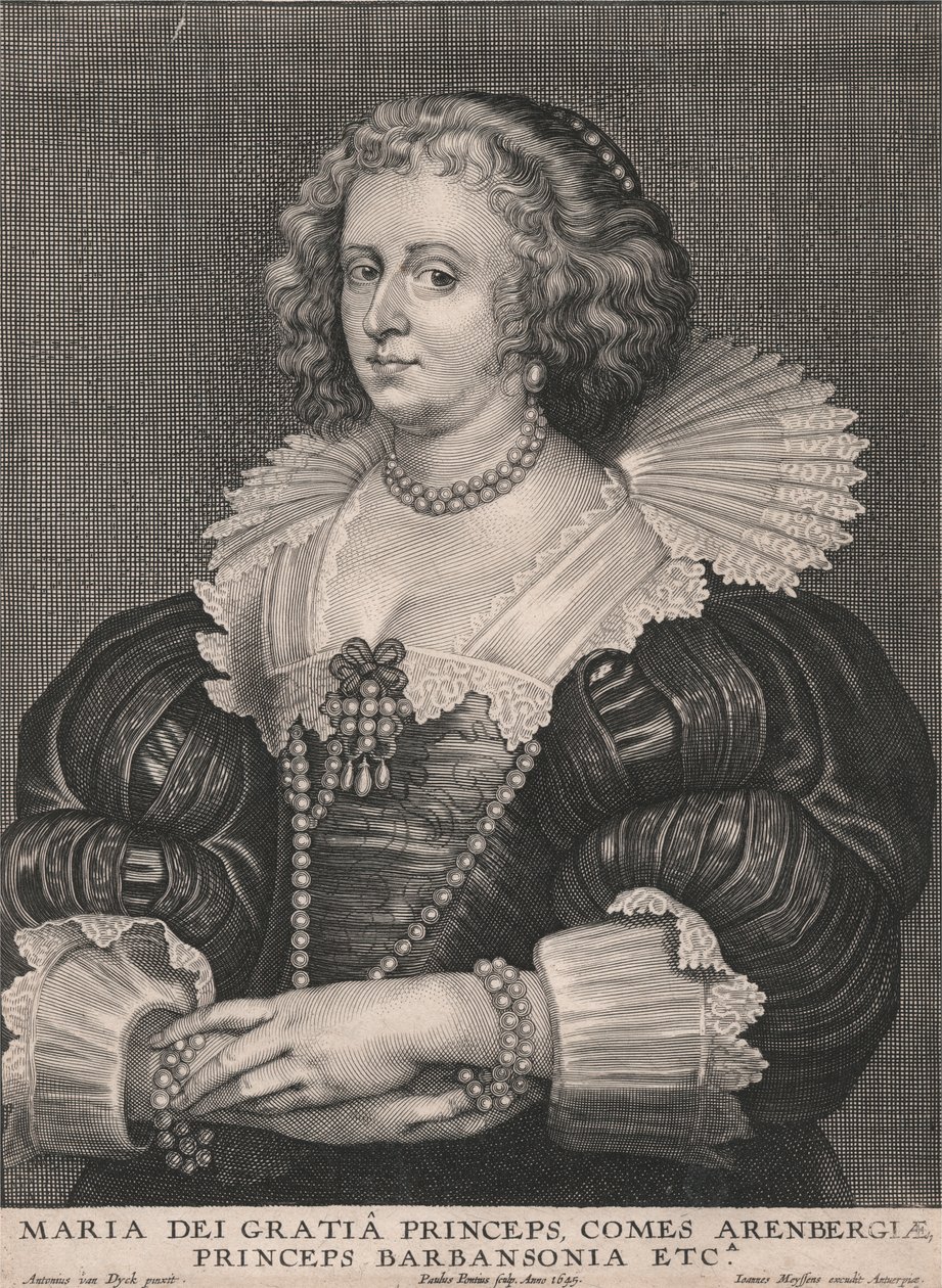 Prins Maria dei Gratia, greve av Arenbergia, prins av Barbansonia, etc. av Paulus Pontius