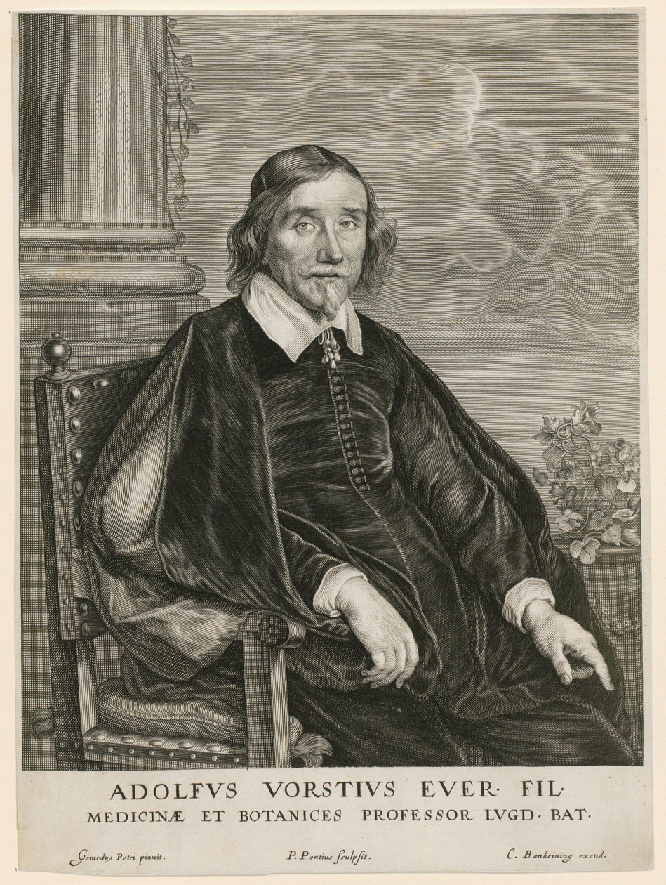 Portrett av Adolph Vorst, professor i Leiden av Paulus Pontius