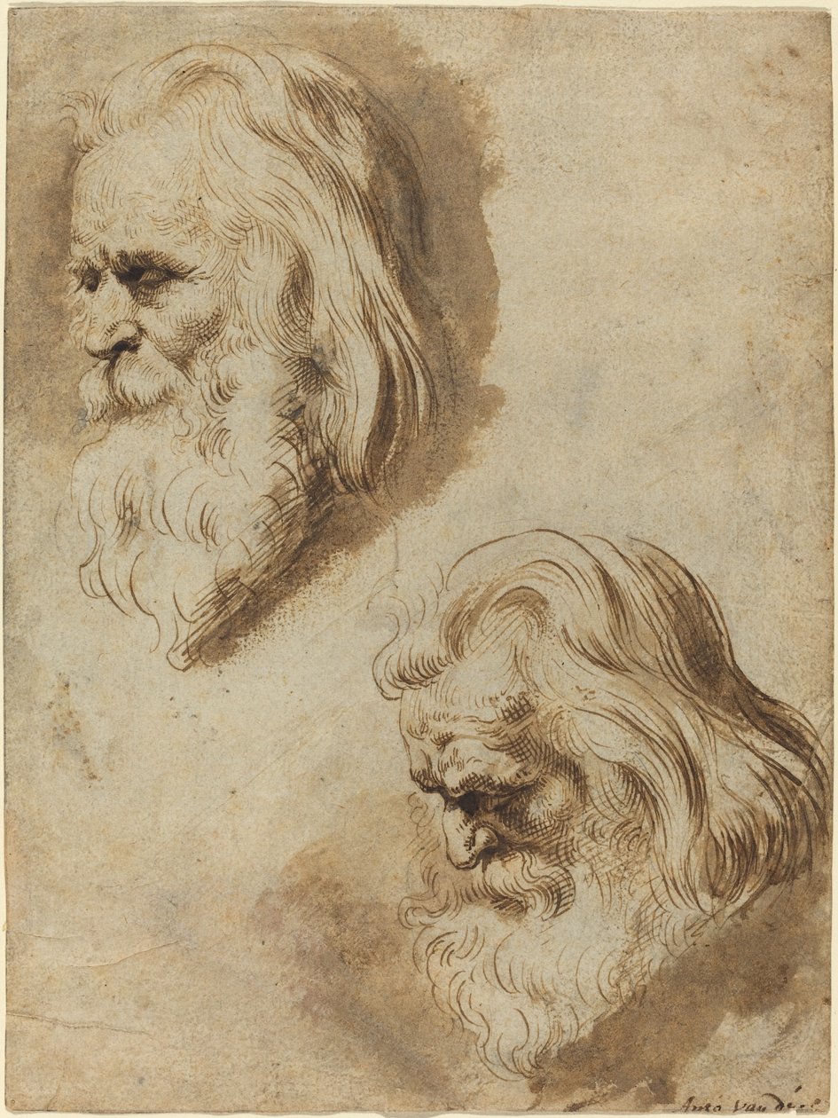 To studier av en eldre manns hode av Paulus Pontius after Sir Peter Paul Rubens