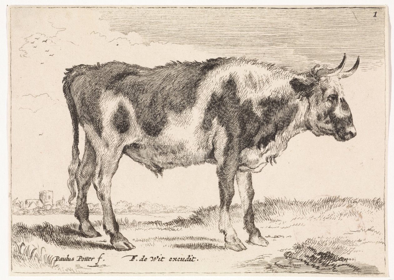 flekket okse Okser og kyr (serietittel) av Paulus Potter (rejected attribution)