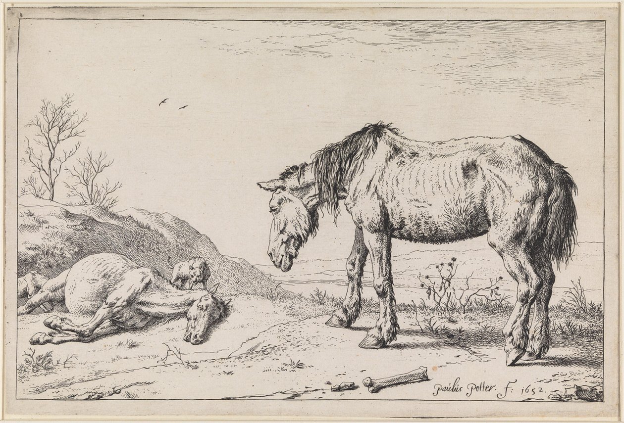 Utslitte hester av Paulus Potter
