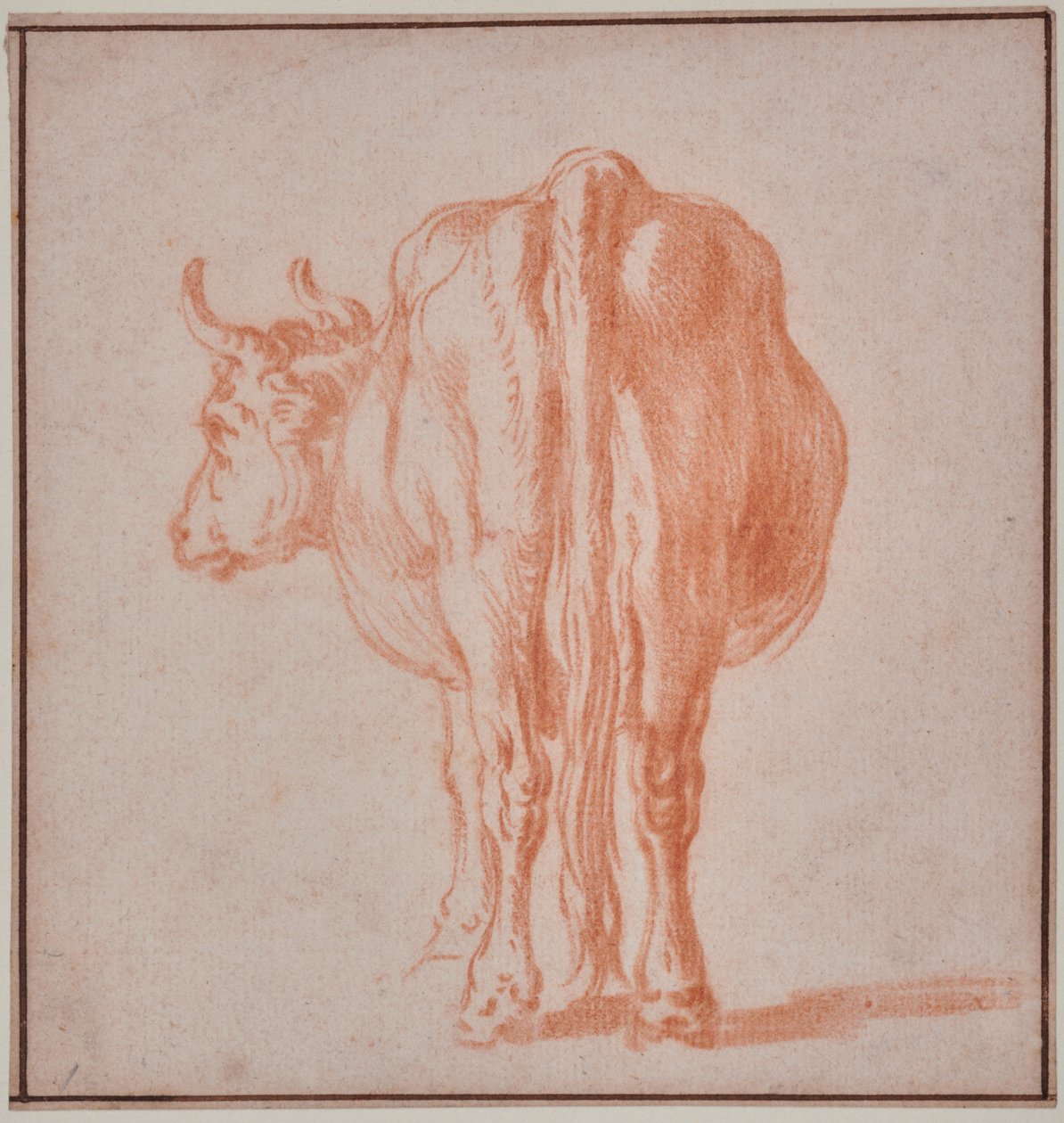 Ku (dyrestudie) av Paulus Potter