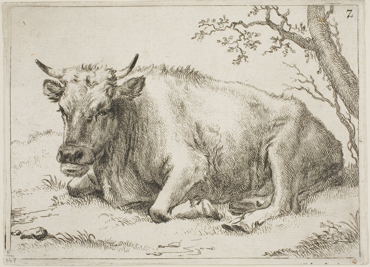  av Paulus Potter