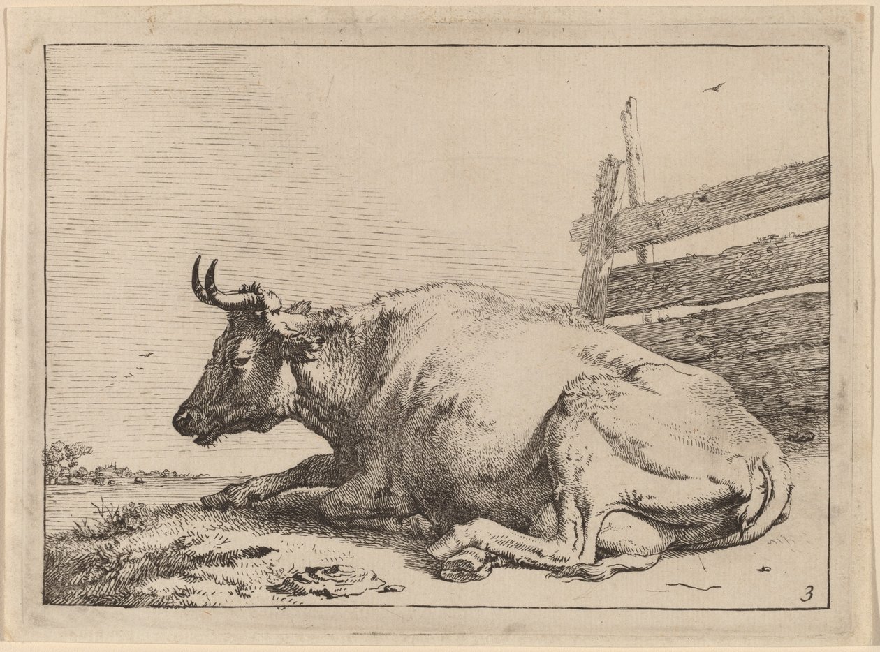 Ku som ligger nær et gjerde av Paulus Potter