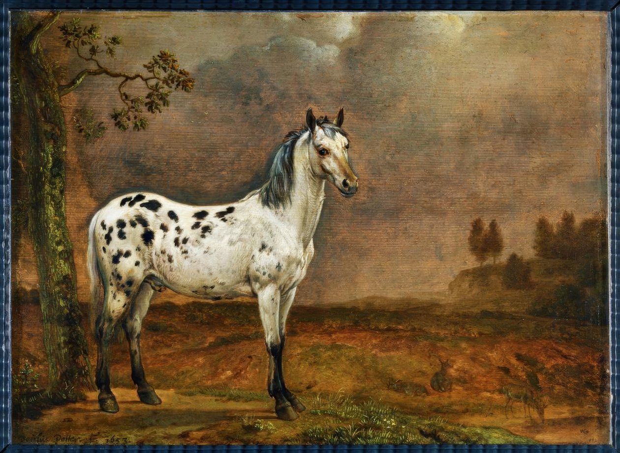 Den brune hesten av Paulus Potter