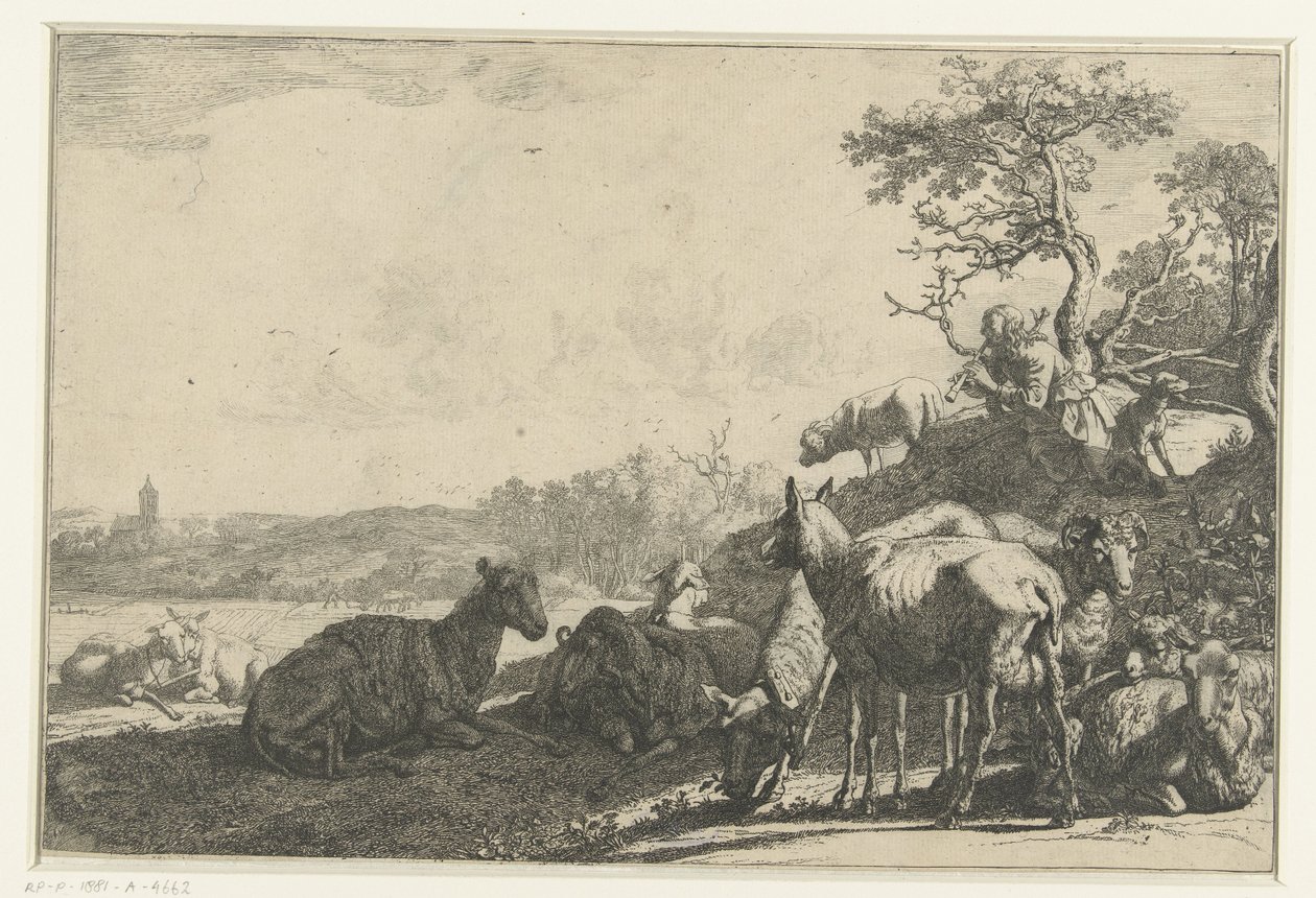 Sauegjeteren av Paulus Potter