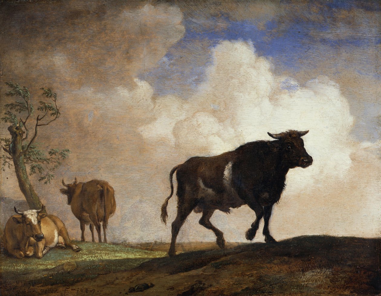 Tyren av Paulus Potter