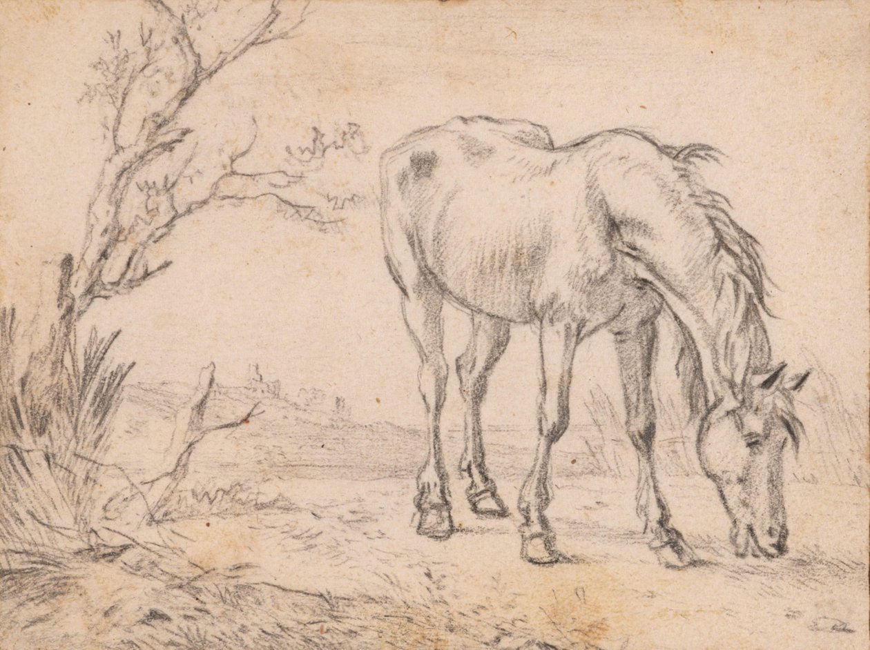 En beitende hest av Paulus Potter