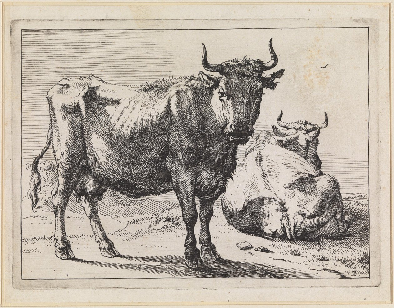 En stående og en liggende ku av Paulus Potter