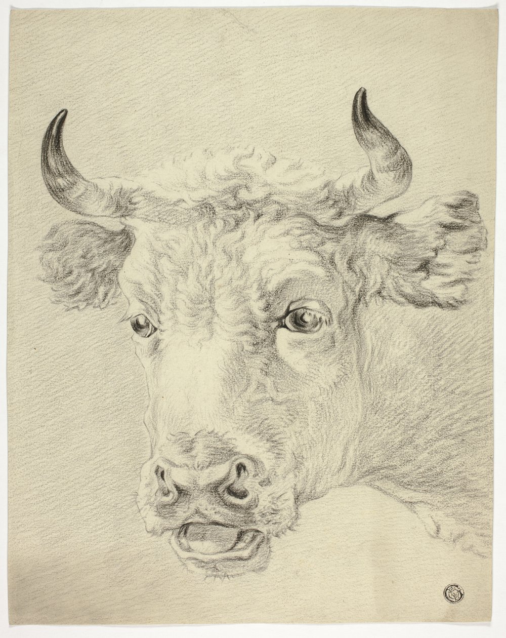 Leder for Cow av Paulus Potter