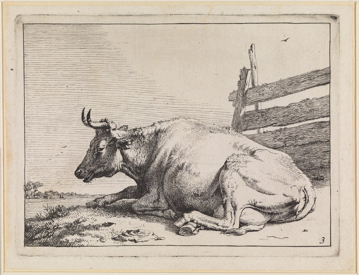 Liggende ku ved et gjerde av Paulus Potter