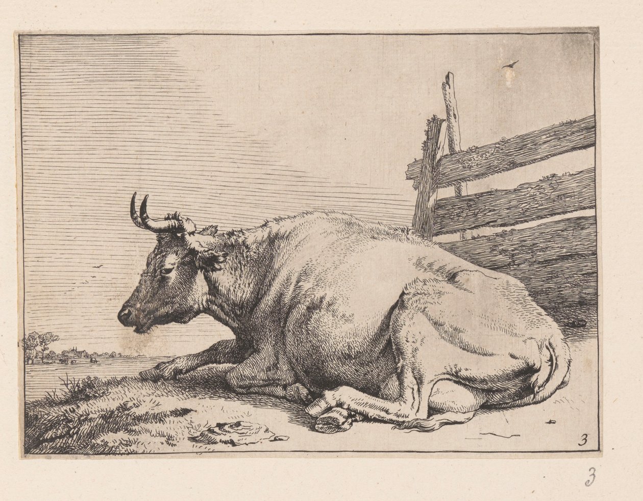  av Paulus Potter