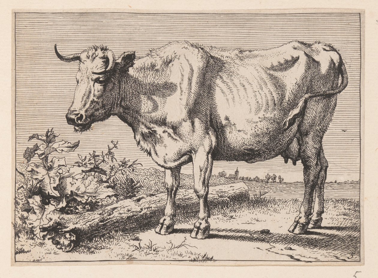  av Paulus Potter