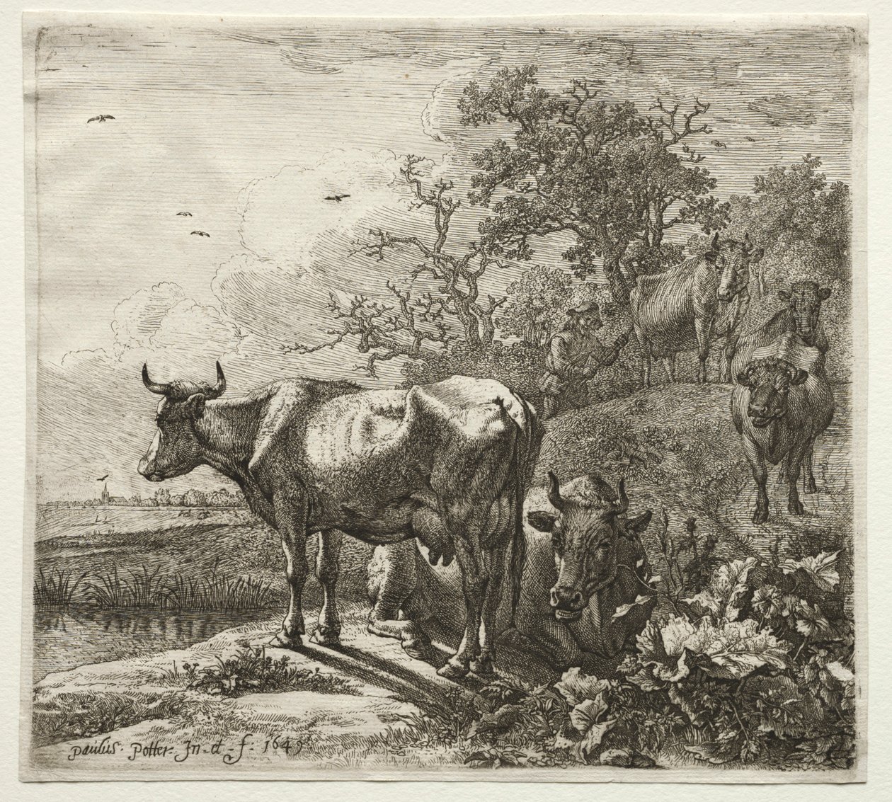 Kuherden. av Paulus Potter