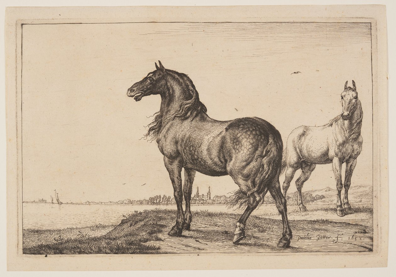  av Paulus Potter