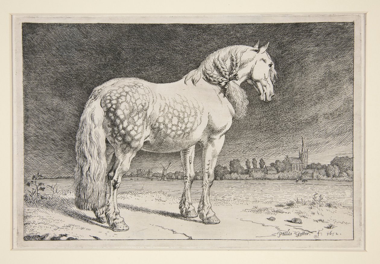 Friesland-hesten av Paulus Potter