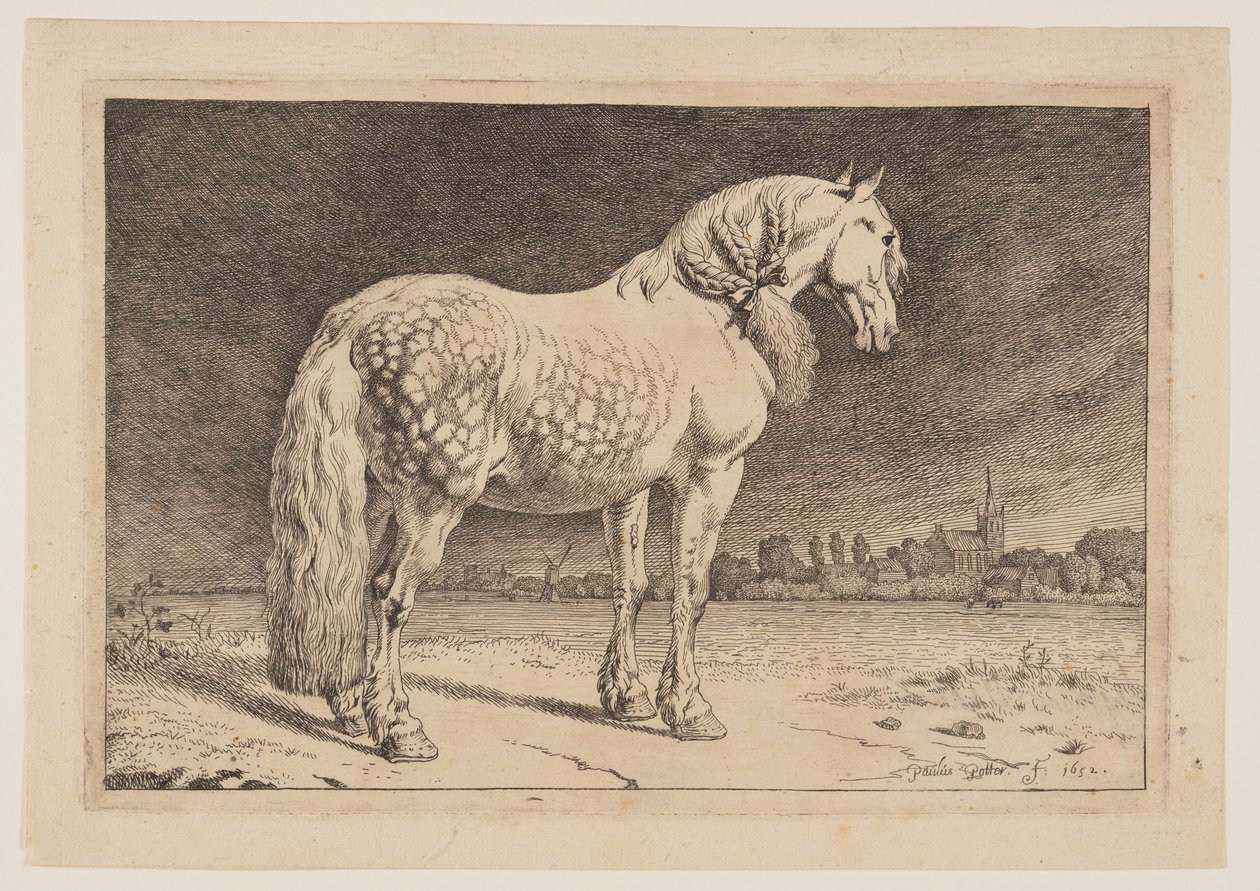  av Paulus Potter