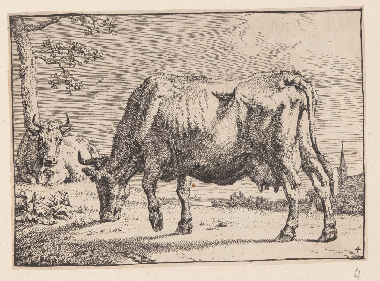  av Paulus Potter
