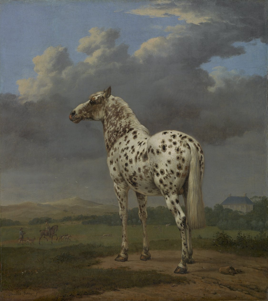 The "Piebald" Horse, ca. 1650-4 (olje på lerret) av Paulus Potter
