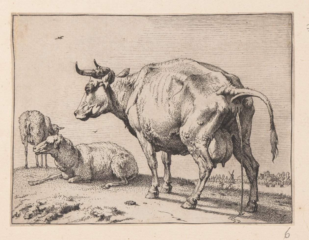  av Paulus Potter