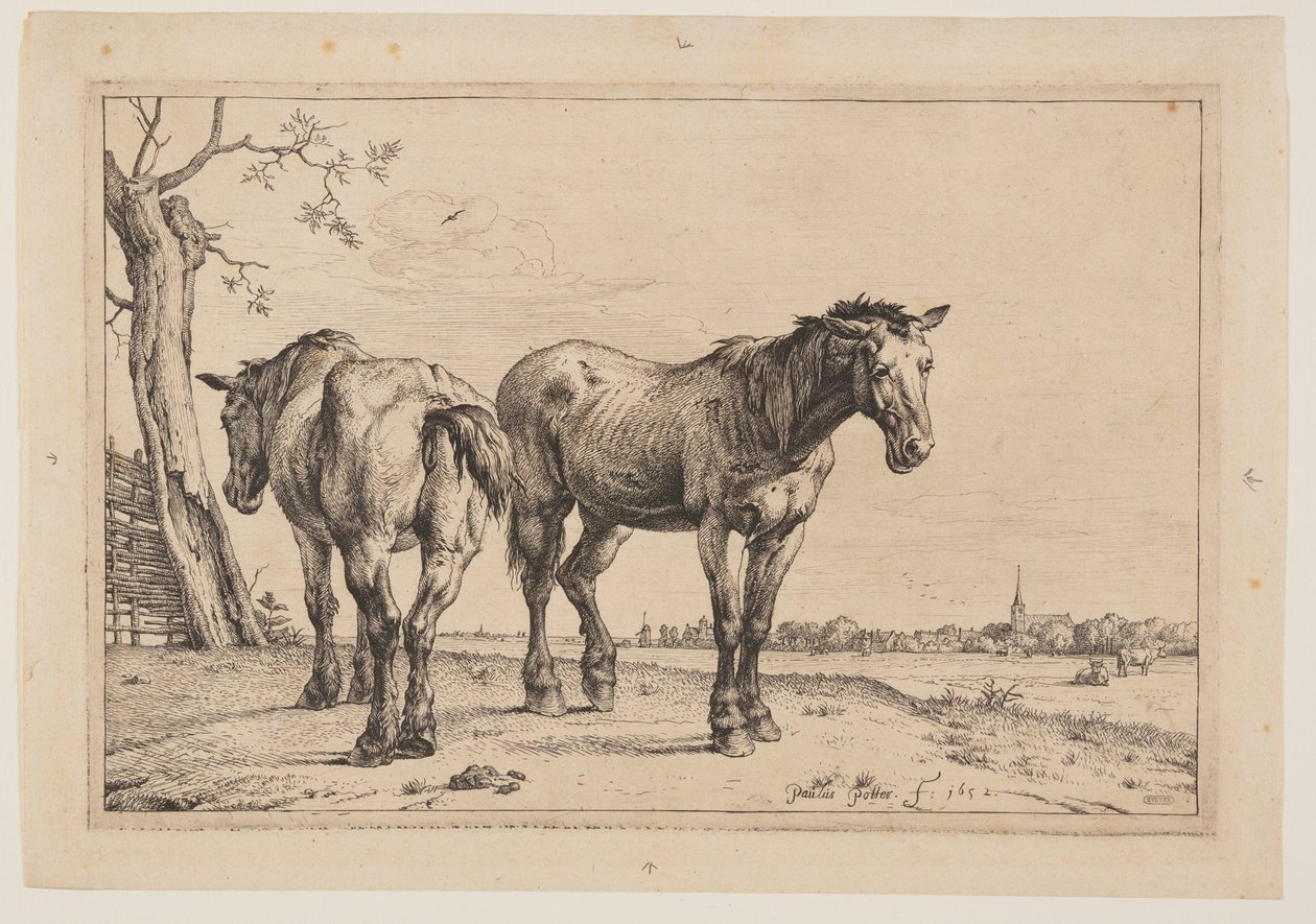  av Paulus Potter