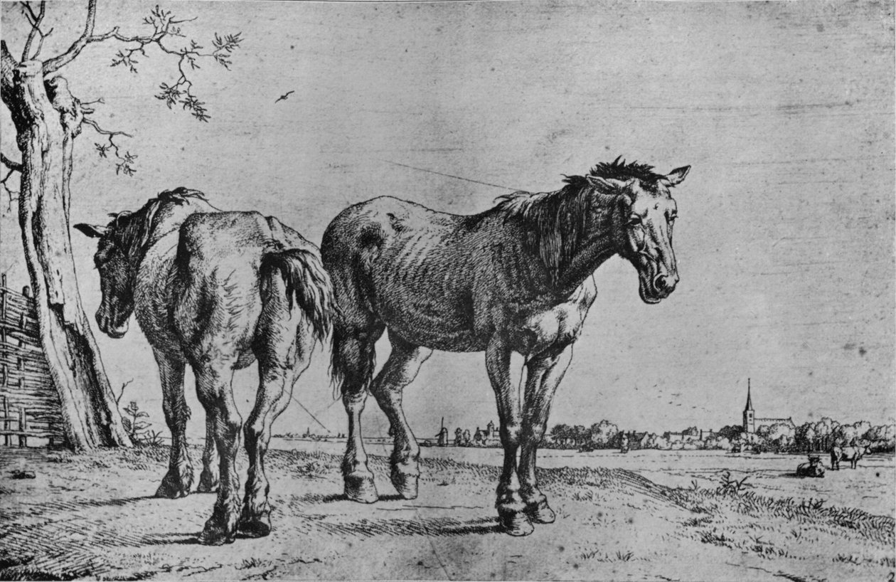 De to ploghestene, 1652 av Paulus Potter