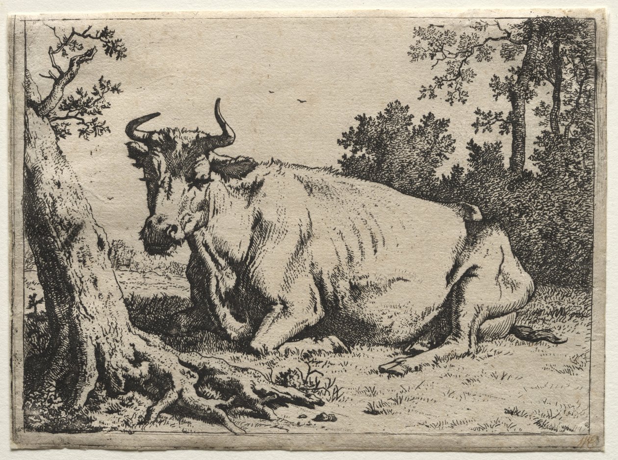 Kua som ligger nede ved et tre. av Paulus Potter