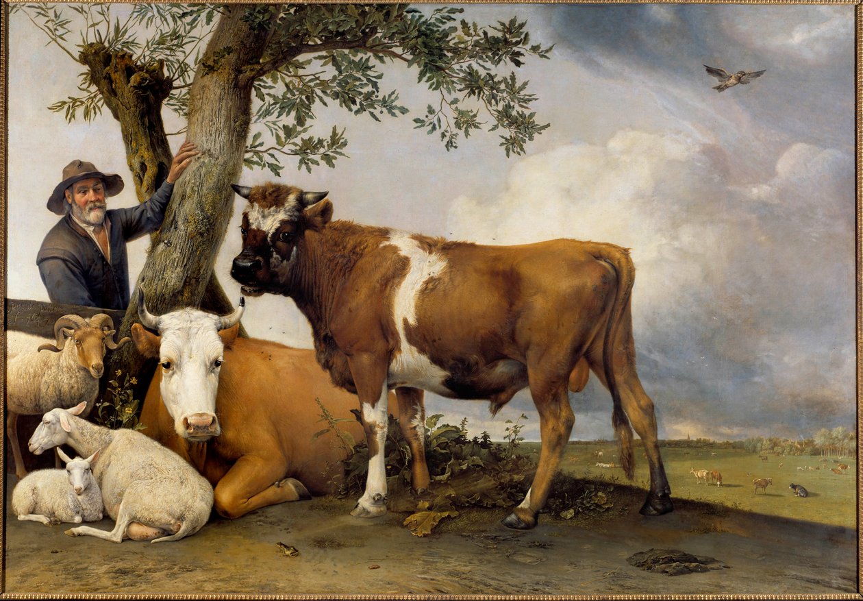 Den unge oksen En gjeter og hans storfe, belier, lam, ku og okse. Maleri av Paul Potter (1625-1654) 1647 Søn. 2,36x3,39 m Haag. Mauritshuis av Paulus Potter