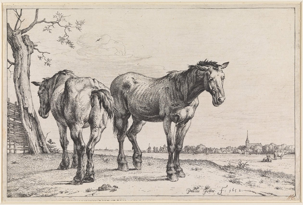 To ploghester av Paulus Potter