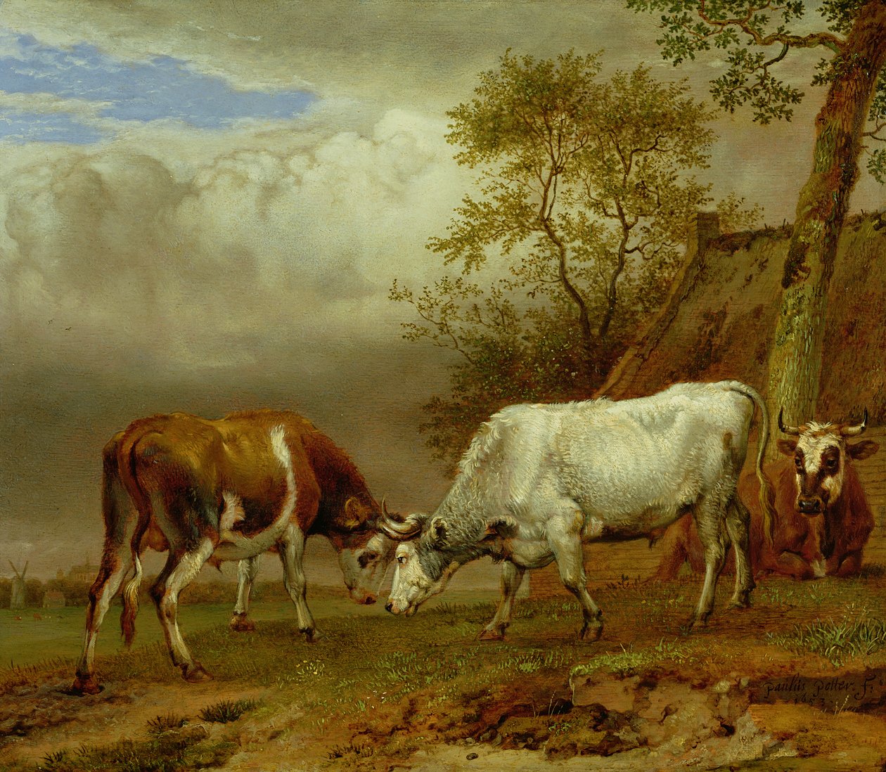 To okser med låste horn, 1653 av Paulus Potter