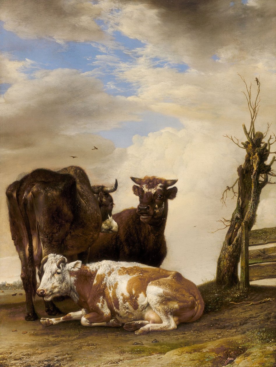  av Paulus Potter