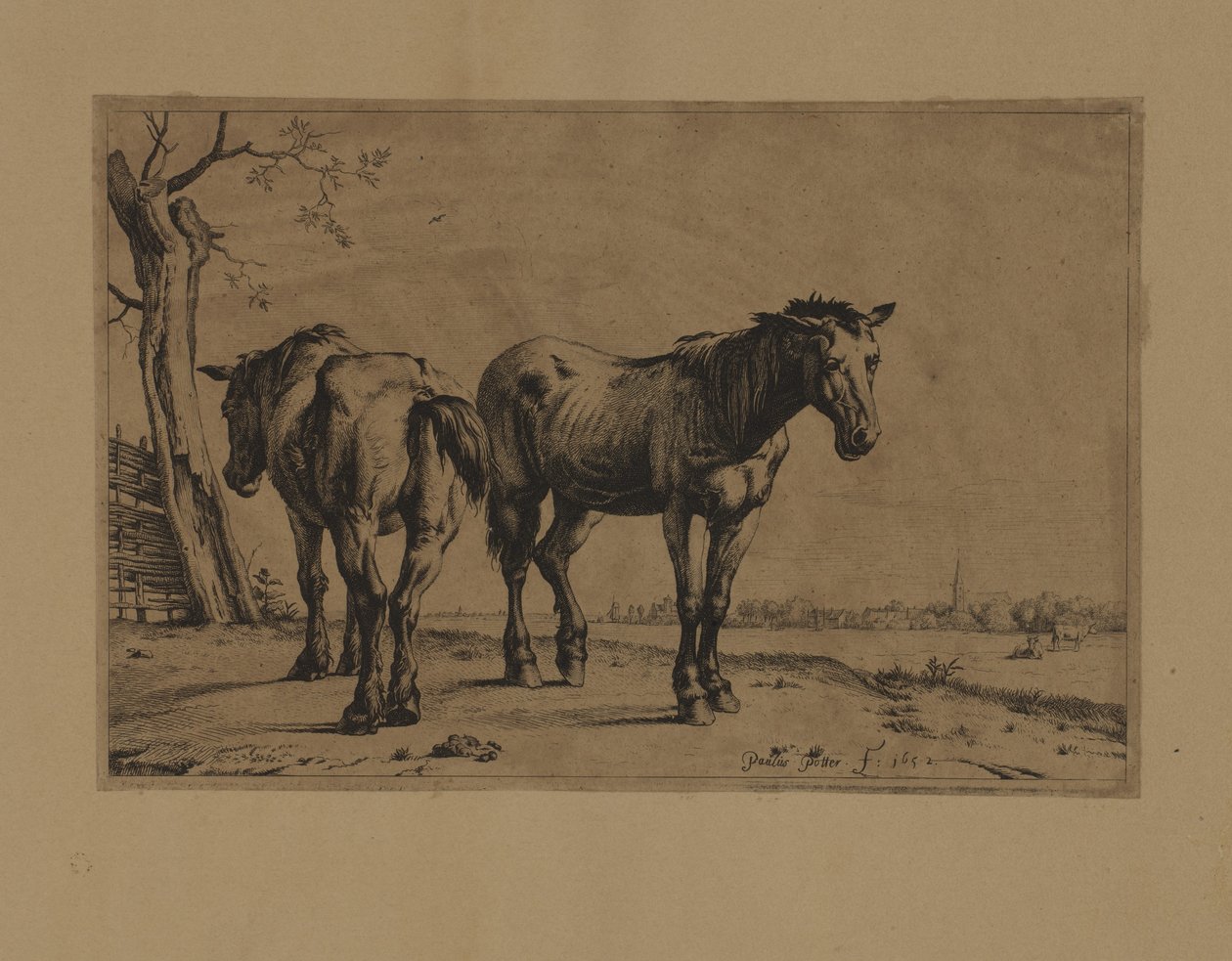  av Paulus Potter