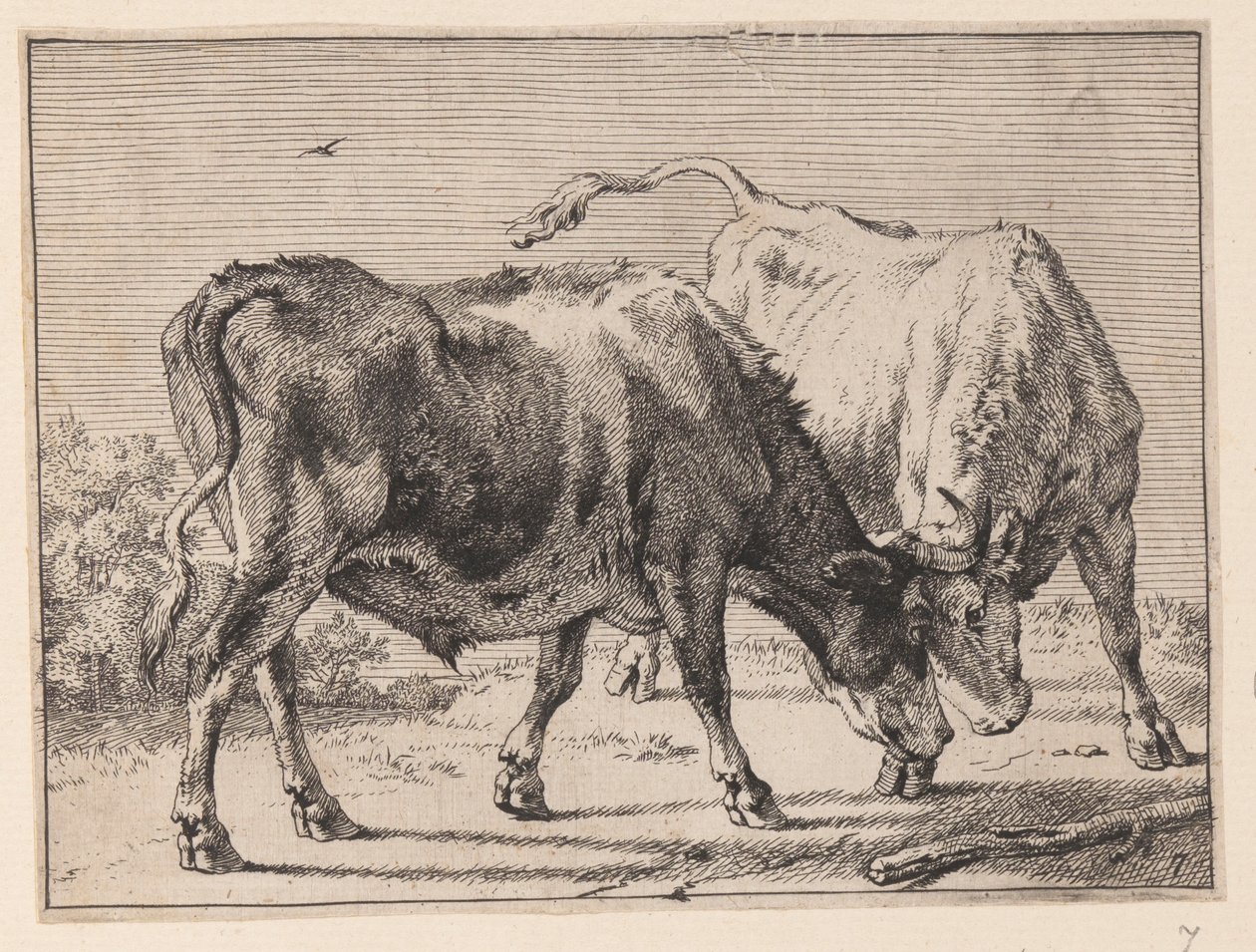  av Paulus Potter