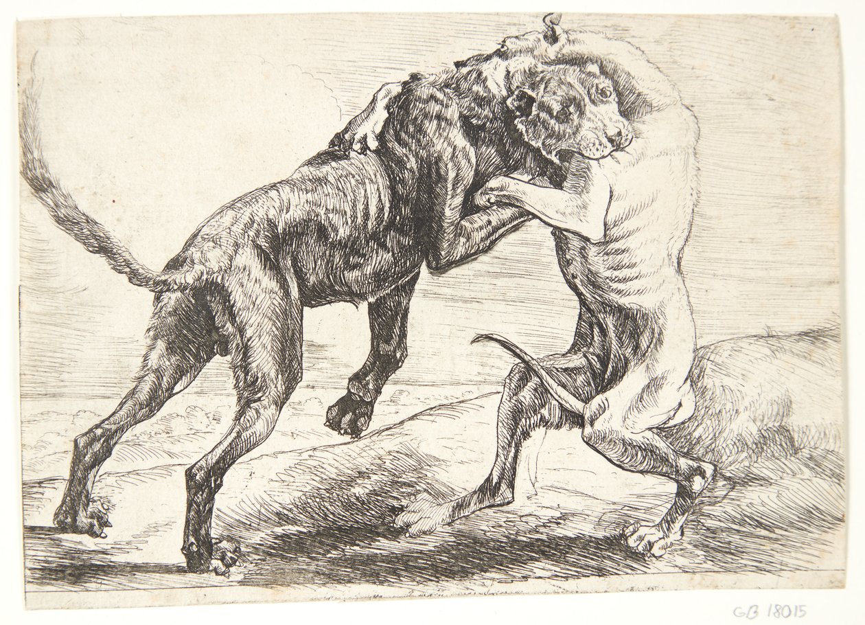 To hunder slåss av Paulus van Hillegaert (II)