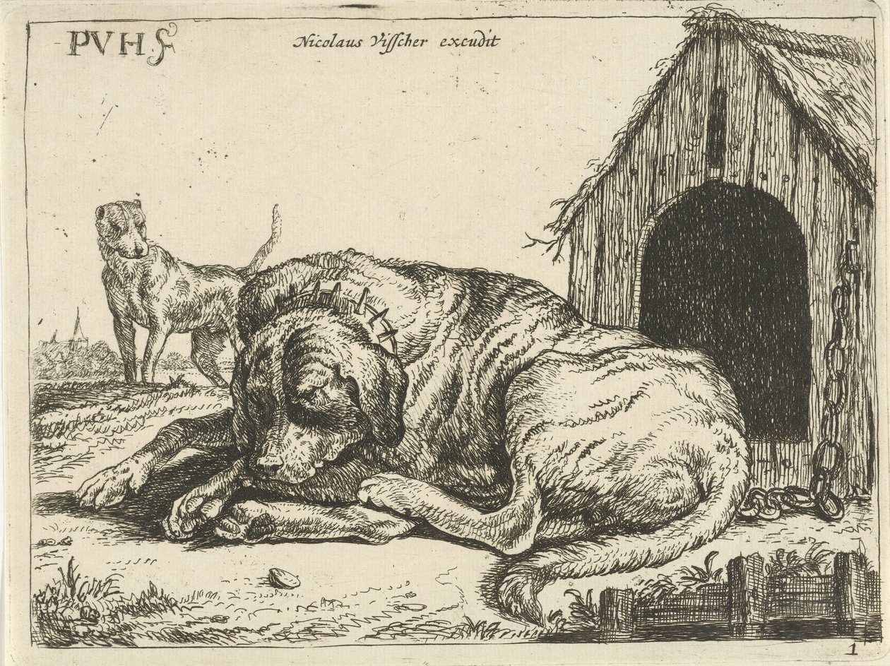 Liggende hund på en kjede Forskjellige hunder (serietittel) av Pauwels van Hillegaert