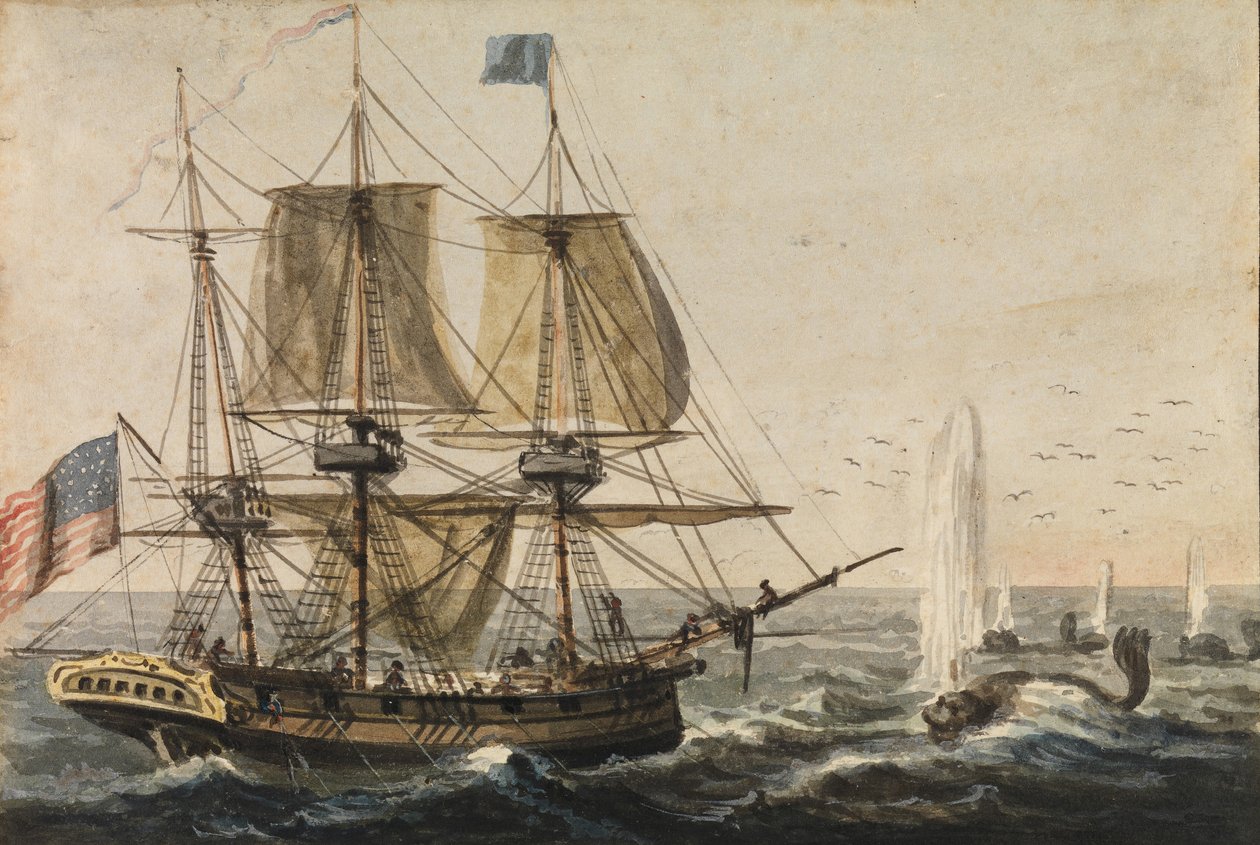 Etterfylling av skipets spisekammer med torsk utenfor Newfoundlandskysten, 1811-ca. 1813. av Pavel Petrovic Svin