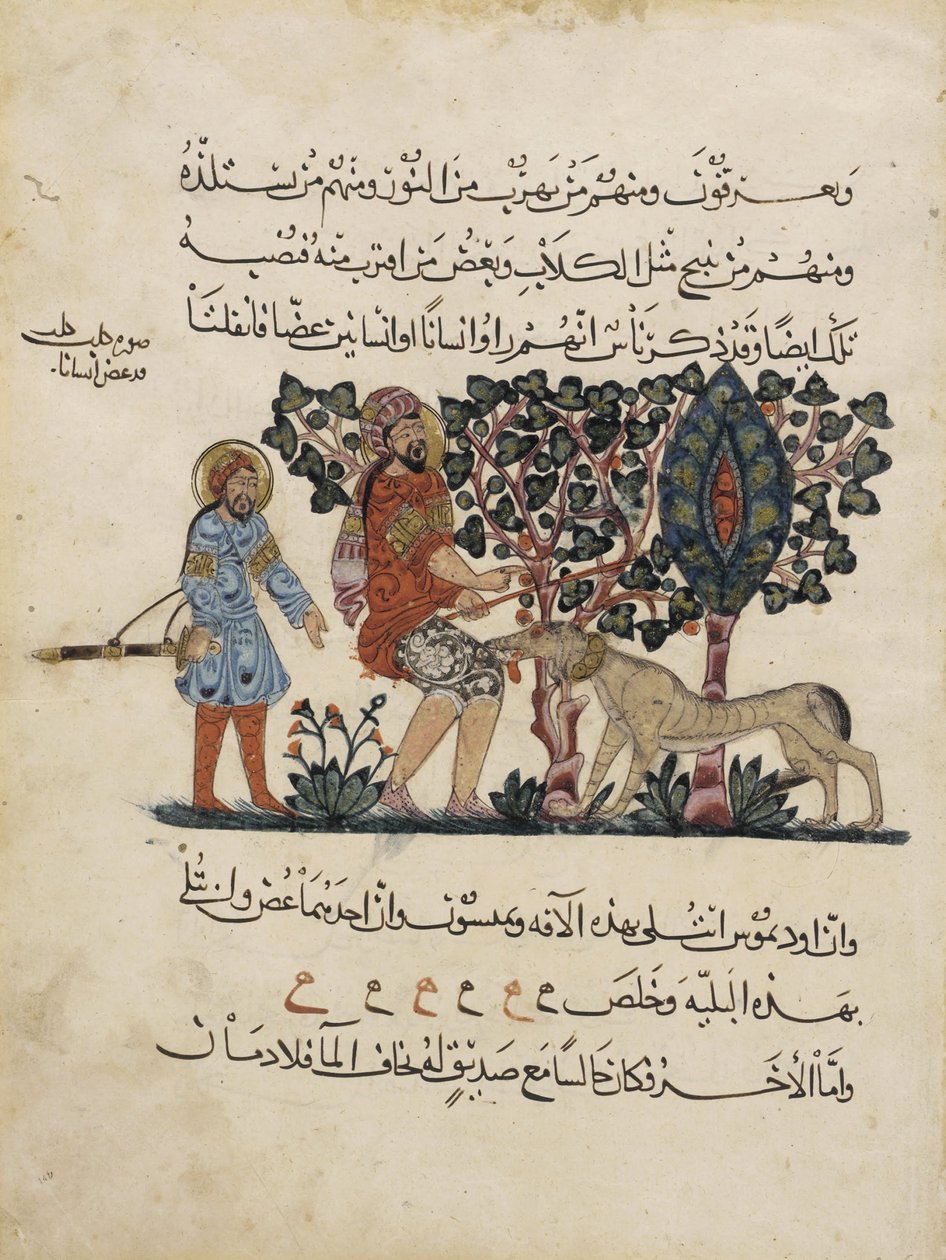 Folio fra en arabisk oversettelse av Materia Medica av Dioscorides av Pedanius Dioscorides