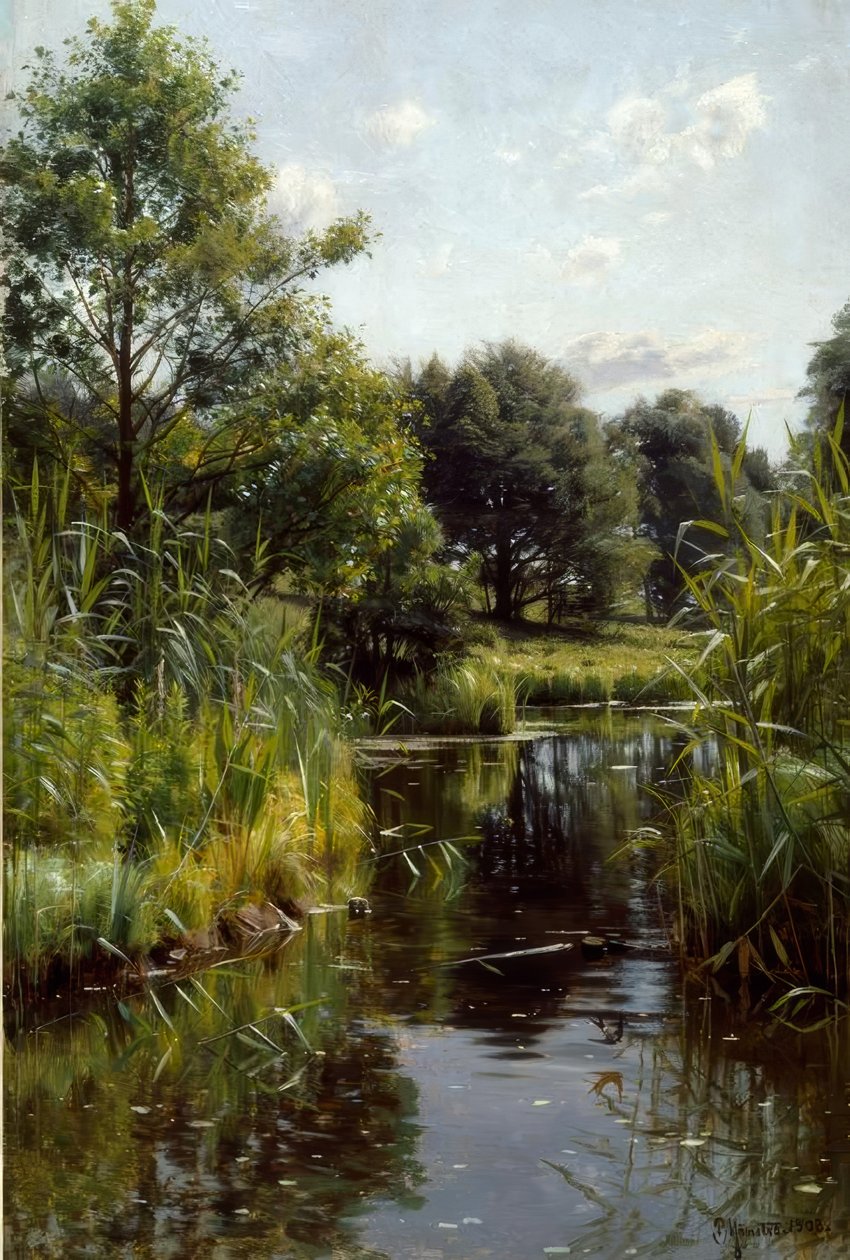 Siv på innsjøen av Peder Monsted