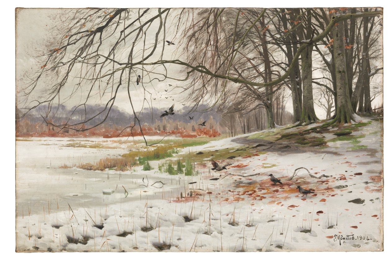  av Peder Monsted