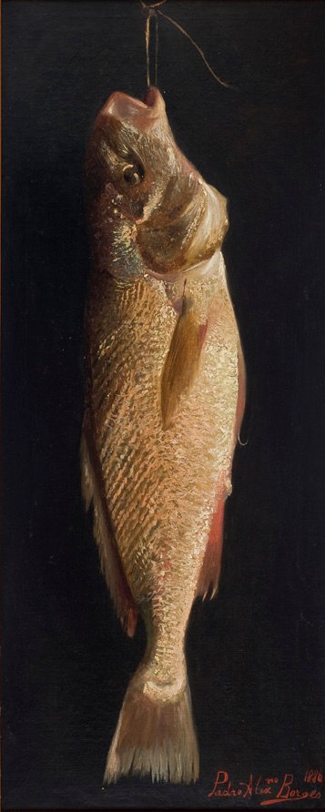 FishnPortugues: Fisk av Pedro Alexandrino Borges