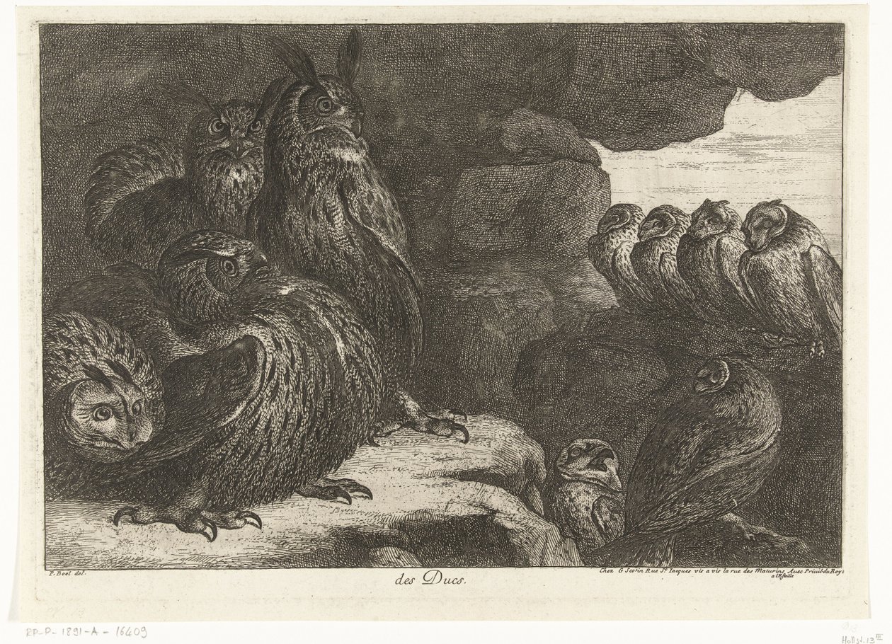 Ugler i en hule des Ducs (tittel på objekt) Fugler fra menasjeriet i Versailles (serietittel) av Peeter Boel (attributed to)