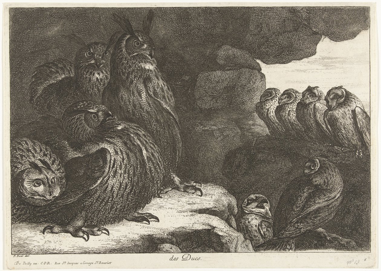 Ugler i en hule des Ducs (tittel på objekt) Fugler fra menasjeriet i Versailles (serietittel) av Peeter Boel (attributed to)