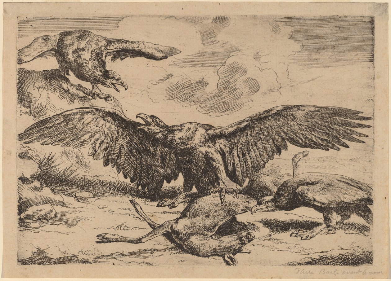 Eagles av Peeter Boel