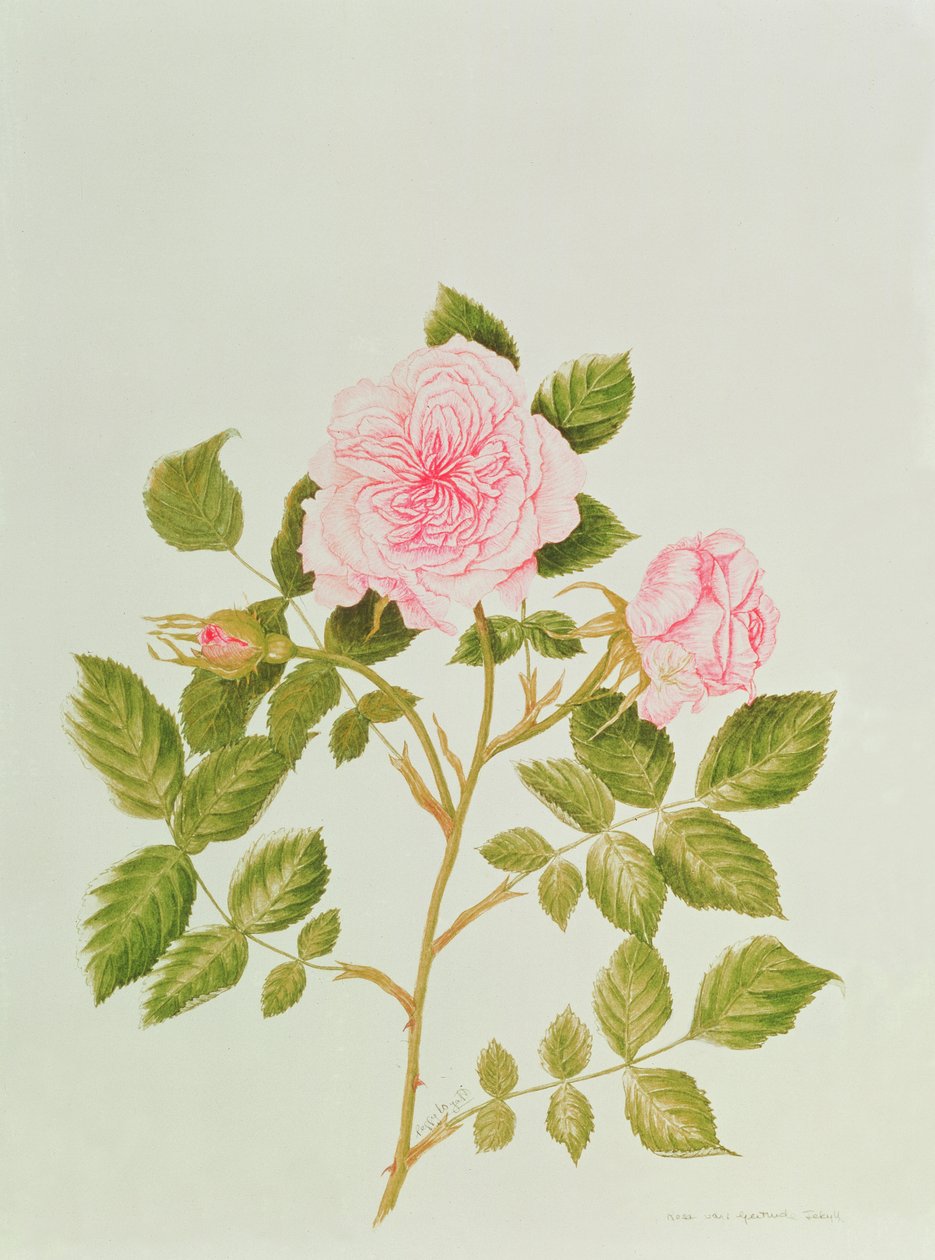  av Peggy Wyatt