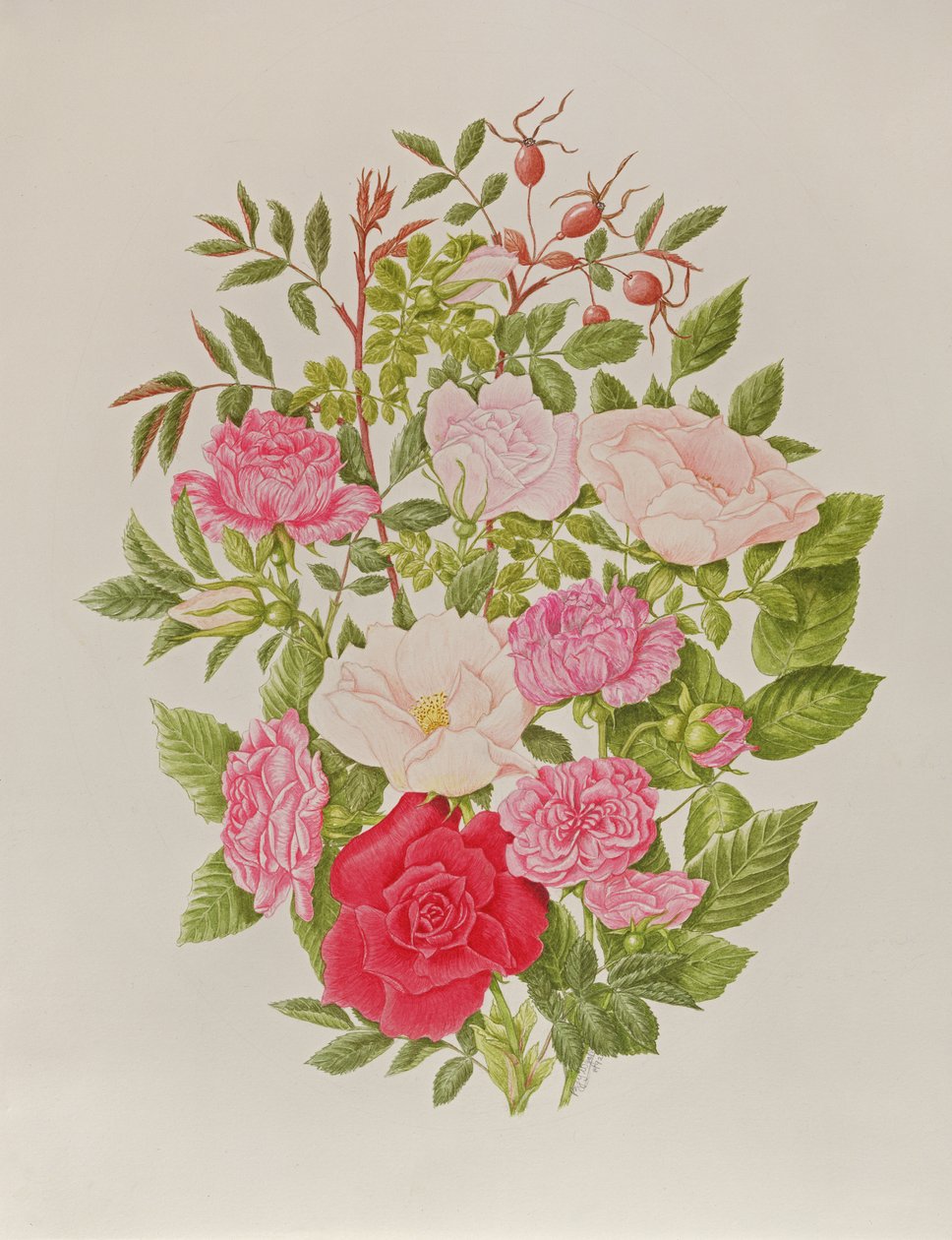  av Peggy Wyatt