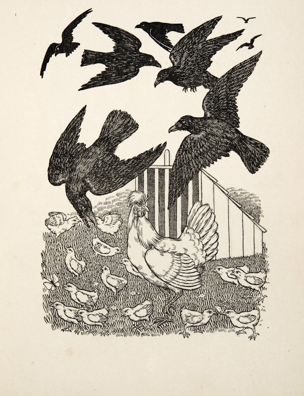 A Calculating Crow, fra A Hundred Anecdotes of Animals, pub. 1924 av Percy J. Billingshurst