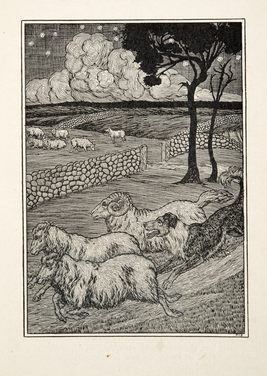 A Canine Sheep Stealer, fra A Hundred Anecdotes of Animals, pub. 1924 av Percy J. Billingshurst