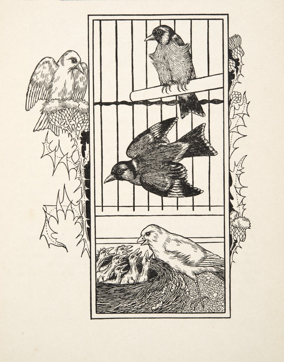 A Charitable Canary, fra A Hundred Anecdotes of Animals, pub. 1924 av Percy J. Billingshurst