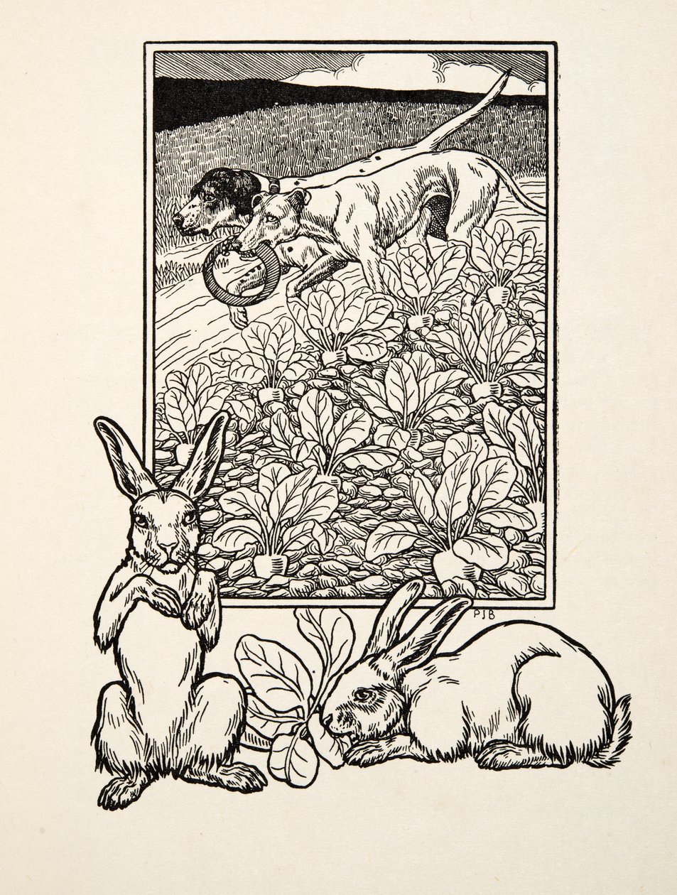 A Sly Couple, fra A Hundred Anecdotes of Animals, pub. 1924 av Percy J. Billingshurst