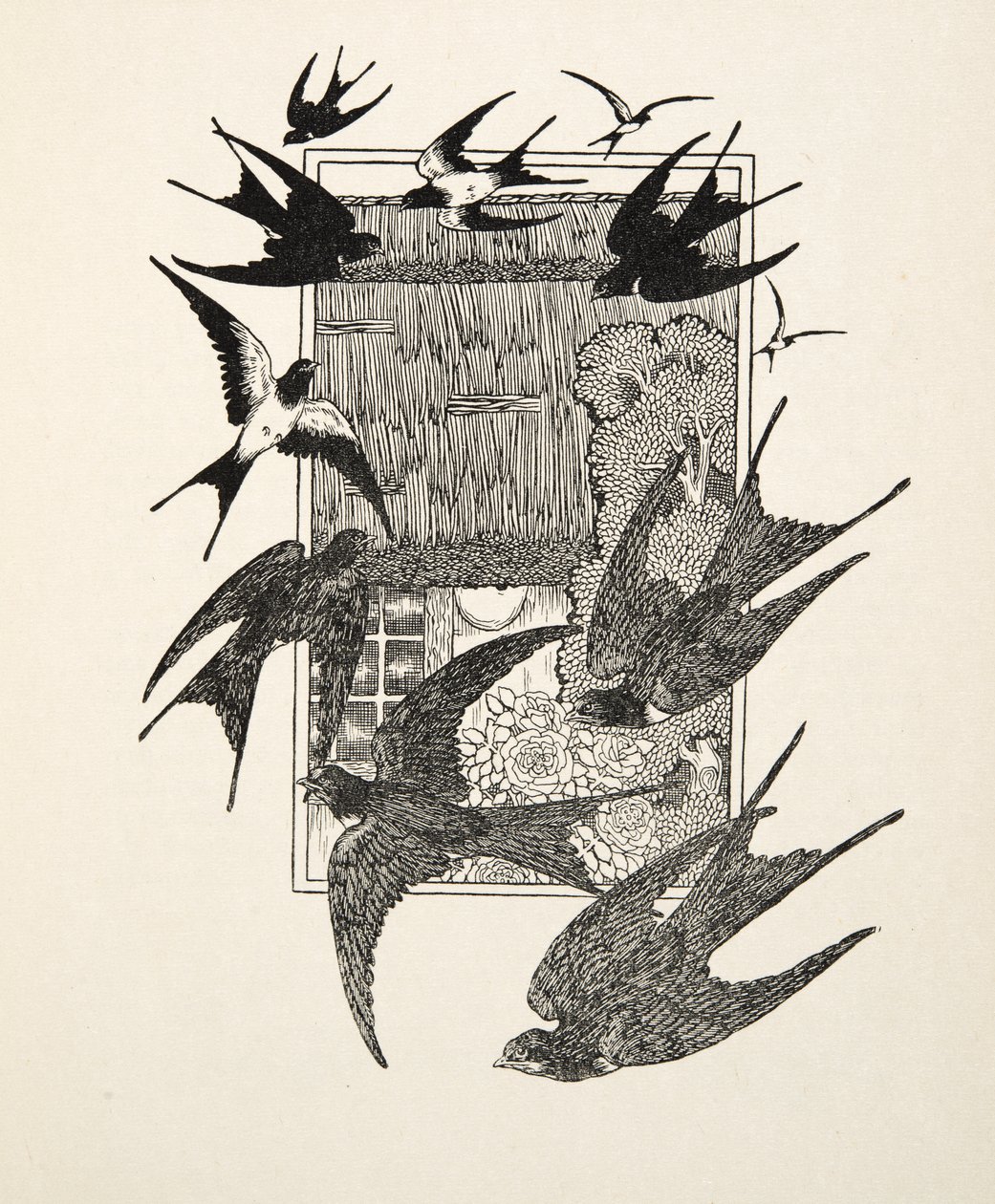 An Usurper Punished, fra A Hundred Anecdotes of Animals, pub. 1924 av Percy J. Billingshurst